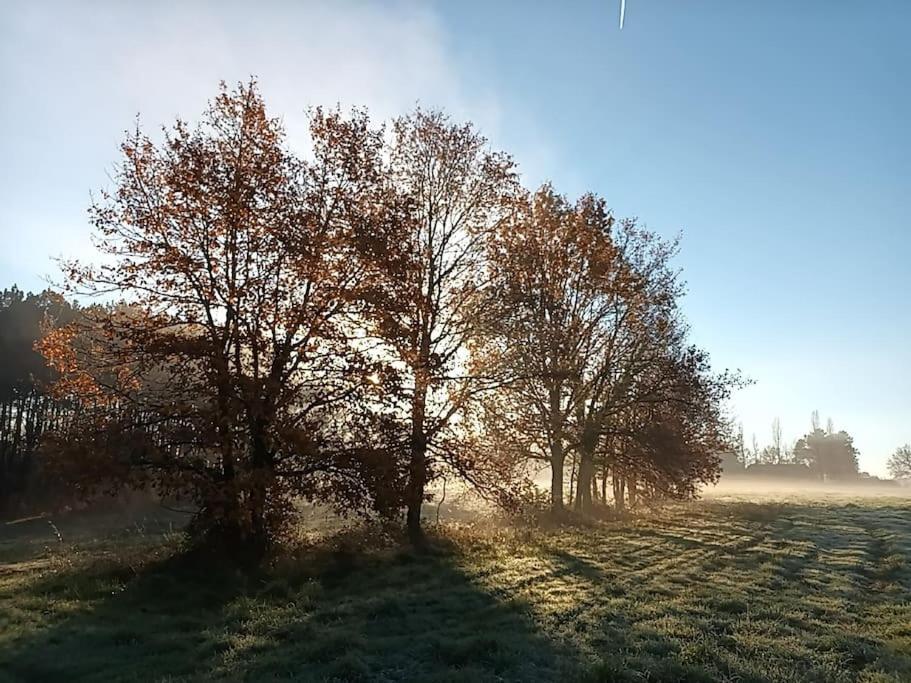 Gite Aux Bois D'En Temps Lunas  Eksteriør bilde