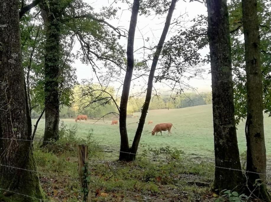 Gite Aux Bois D'En Temps Lunas  Eksteriør bilde